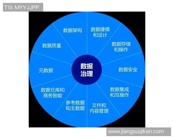 星空娱乐数据安全治理体系构建与实施策略探讨